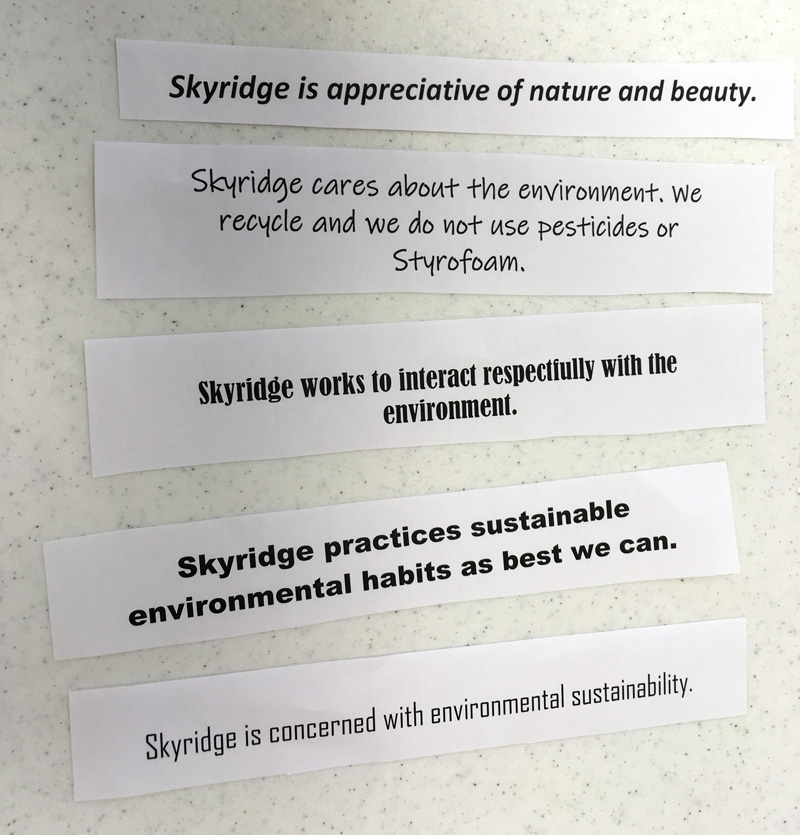 Skyridge Church Sustainability